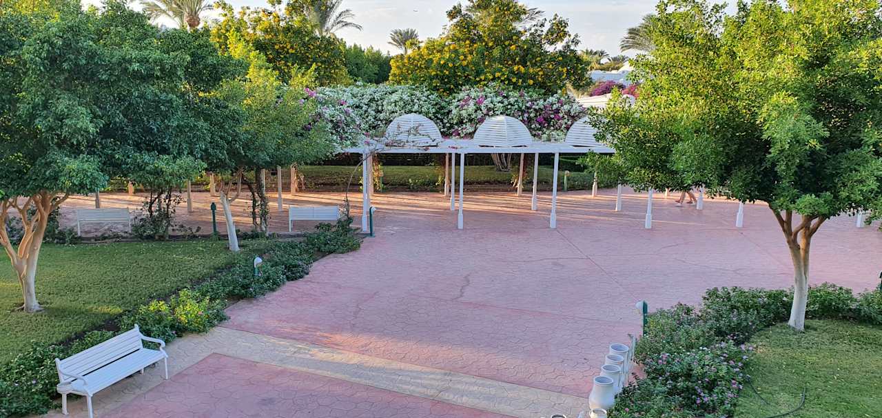 Gartenanlage Desert Rose