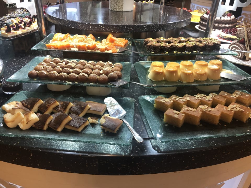Gastro Paloma Pasha