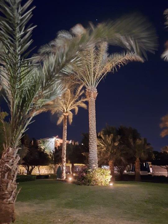 Gartenanlage Desert Rose