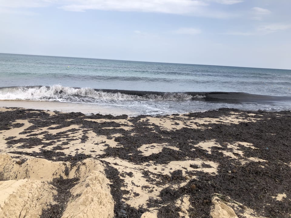 Strand Oceana Hotel & Spa