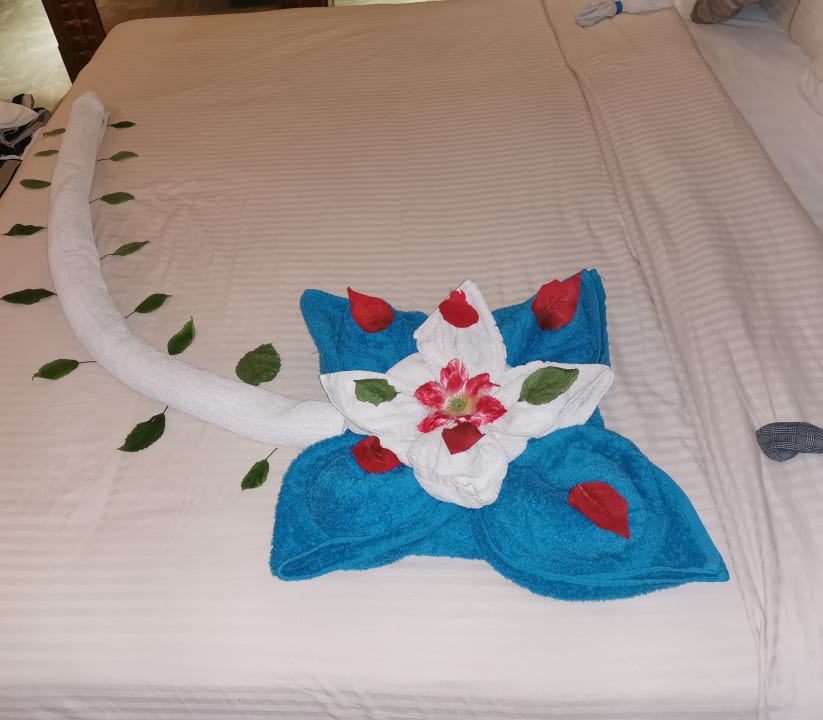 Zimmer Grand Waterworld Makadi & Family Star Makadi