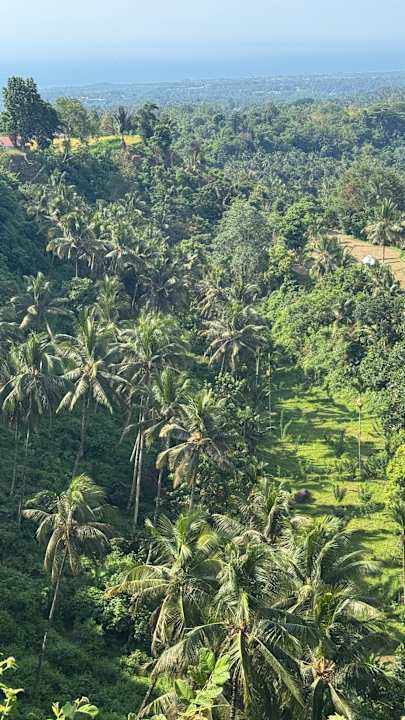 Gartenanlage Coconut Boutique Resort