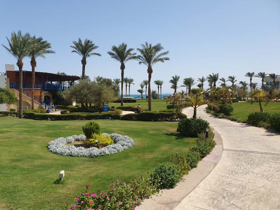 Gartenanlage Palm Royale Resort - Soma Bay