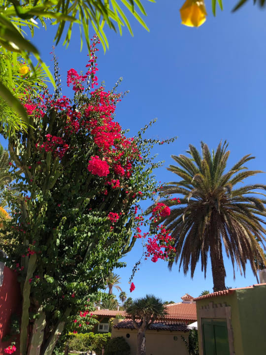 Gartenanlage HL Miraflor Suites Hotel