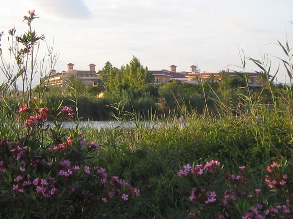 Vom Strand aus  Crystal Paraiso Aqua Collection