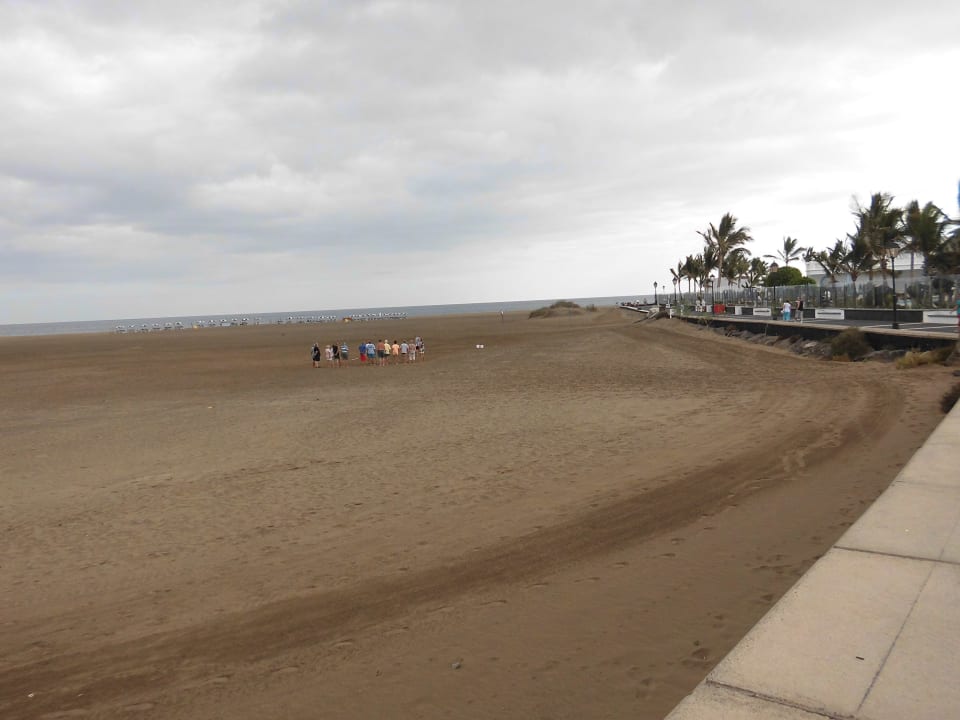 Los Pocillos Relaxia Olivina