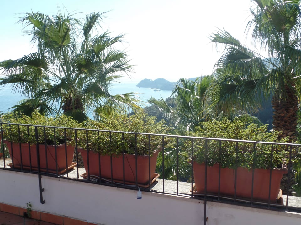 Grünanlage Hotel Olimpo