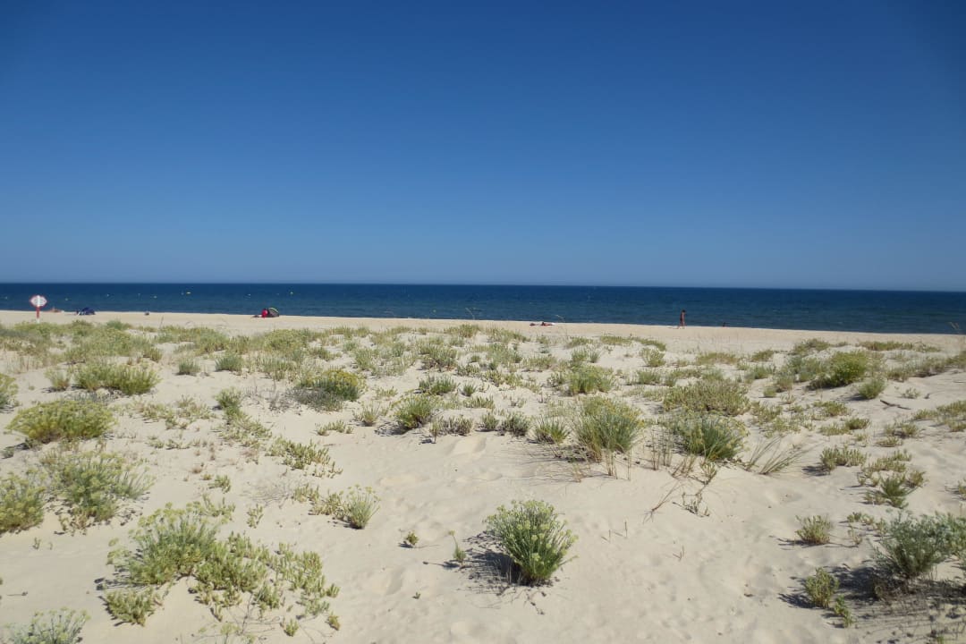Dünen vor dem Strand Golden Club Cabanas