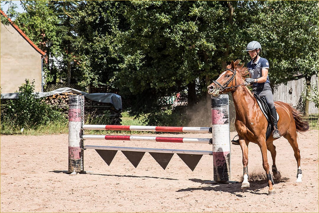 Rundgang per FotoShooting Sommer 2015 Hotel Reiterhof Altmühlsee