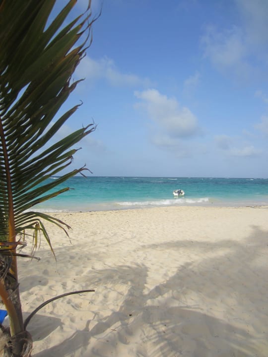 Strand vor dem Hotel  Hotel Riu Palace Macao - Adults only