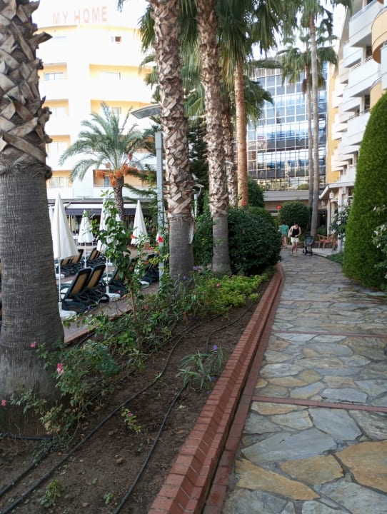 Gartenanlage My Home Resort