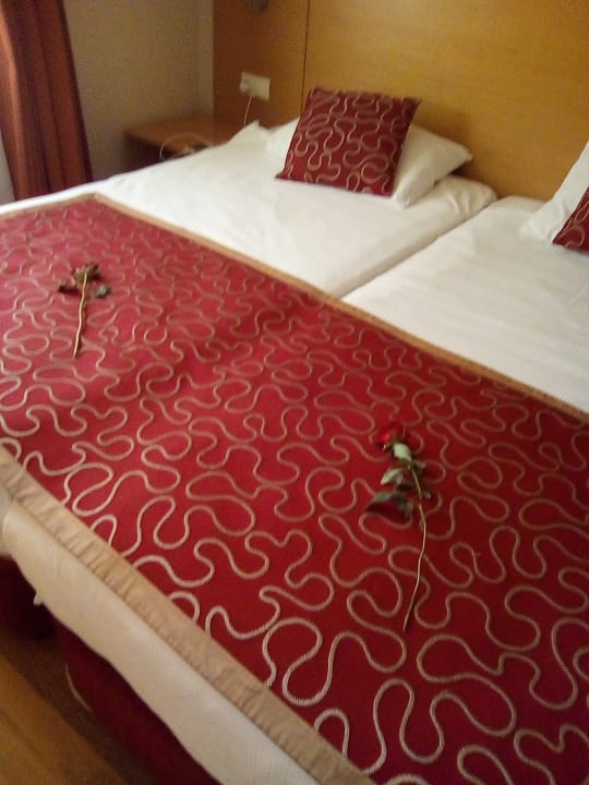 Zimmer Alaiye Resort & Spa