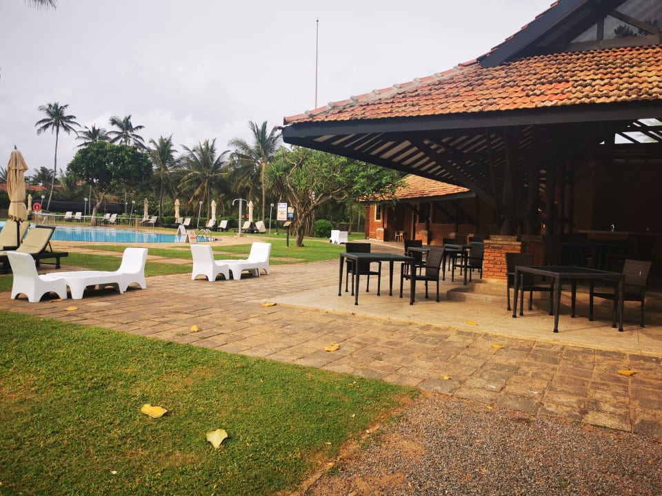 Pool Club Hotel Dolphin