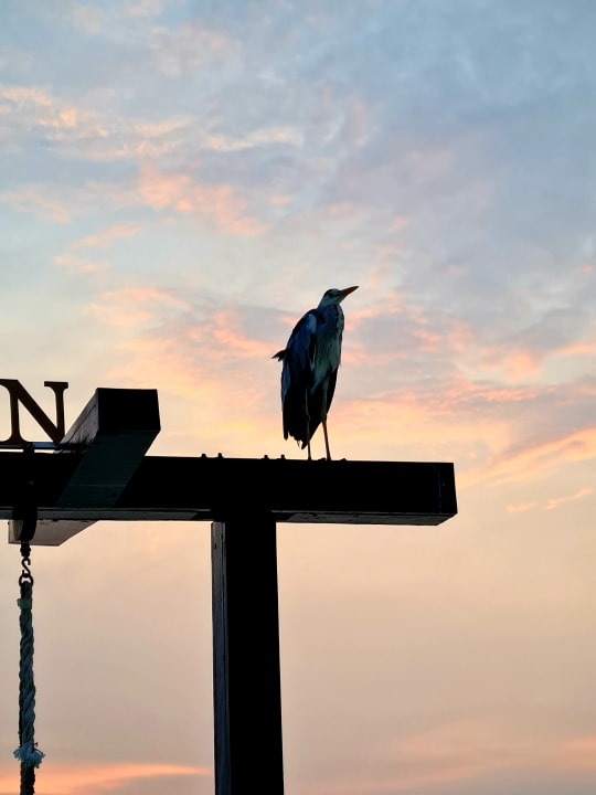 Ausblick Adaaran Select Hudhuran Fushi - Premium All Inclusive