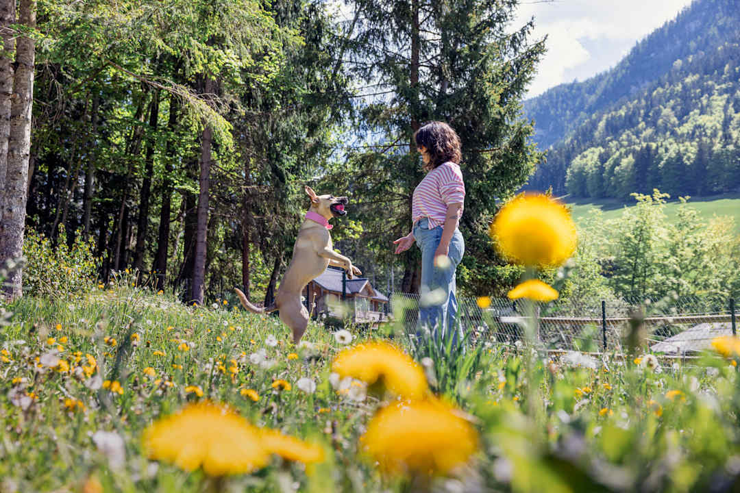 Außenansicht Narzissendorf Zloam - Grundlsee