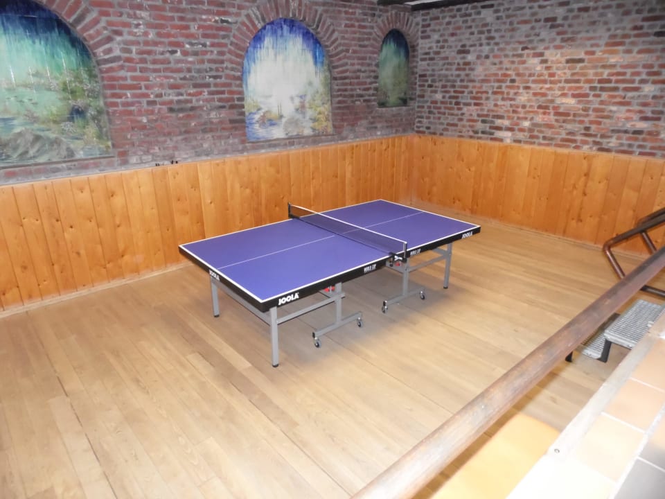 Tischtennis Land Gut Höhne