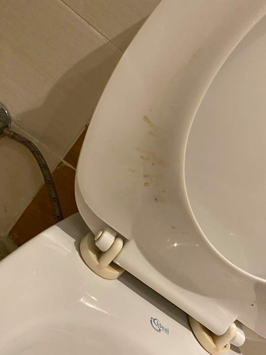 Zimmer Royal Star Beach Resort