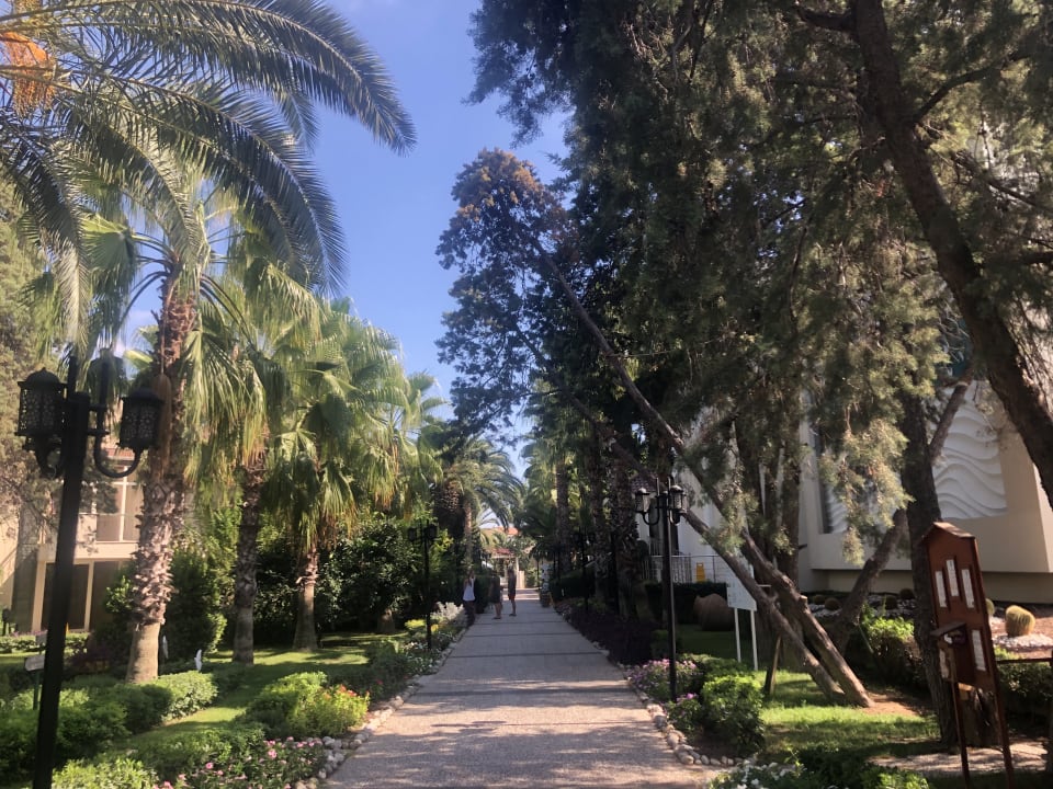 Gartenanlage Paloma Oceana