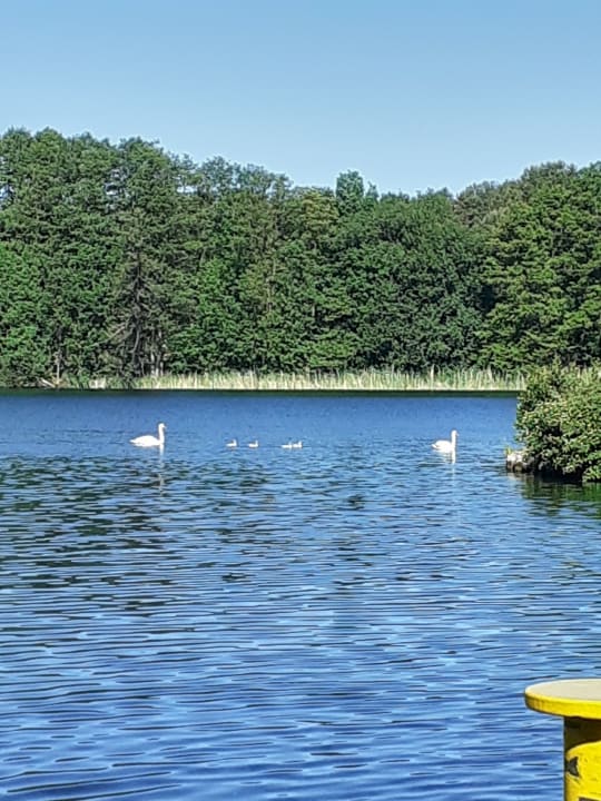 Außenansicht Hotel zum Löwen