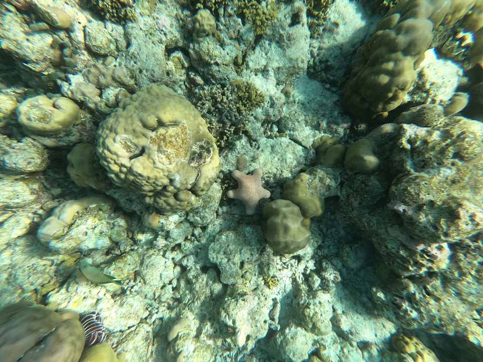 Strand Adaaran Select Meedhupparu Island Resort - Premium All Inclusive