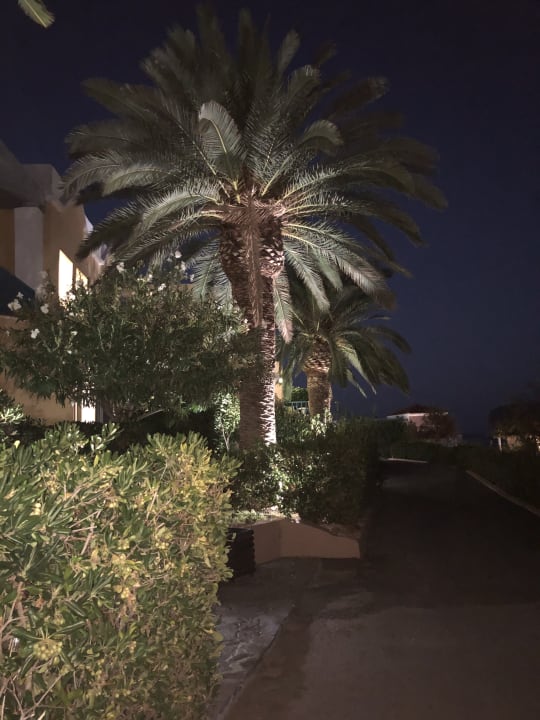 Gartenanlage Fodele Beach & Water Park Holiday Resort