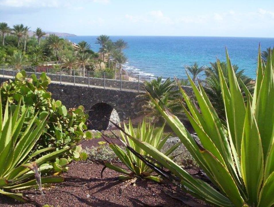 Meerblick R2 Rio Calma Hotel & Spa & Conference