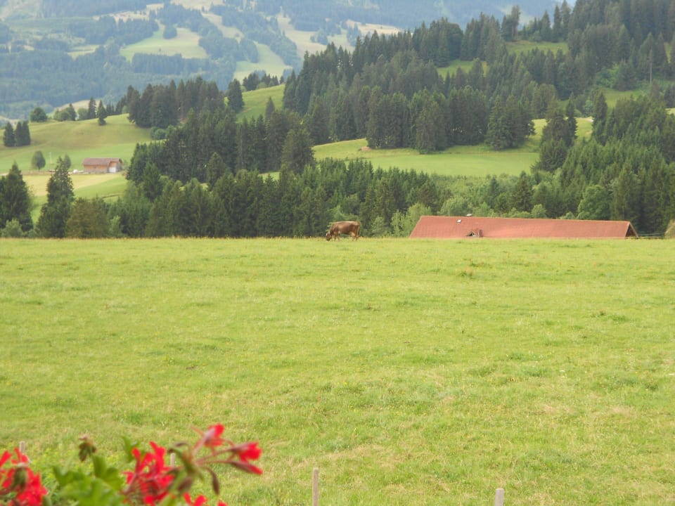 Blick vom Balkon Mittelburg Wellnesshotel