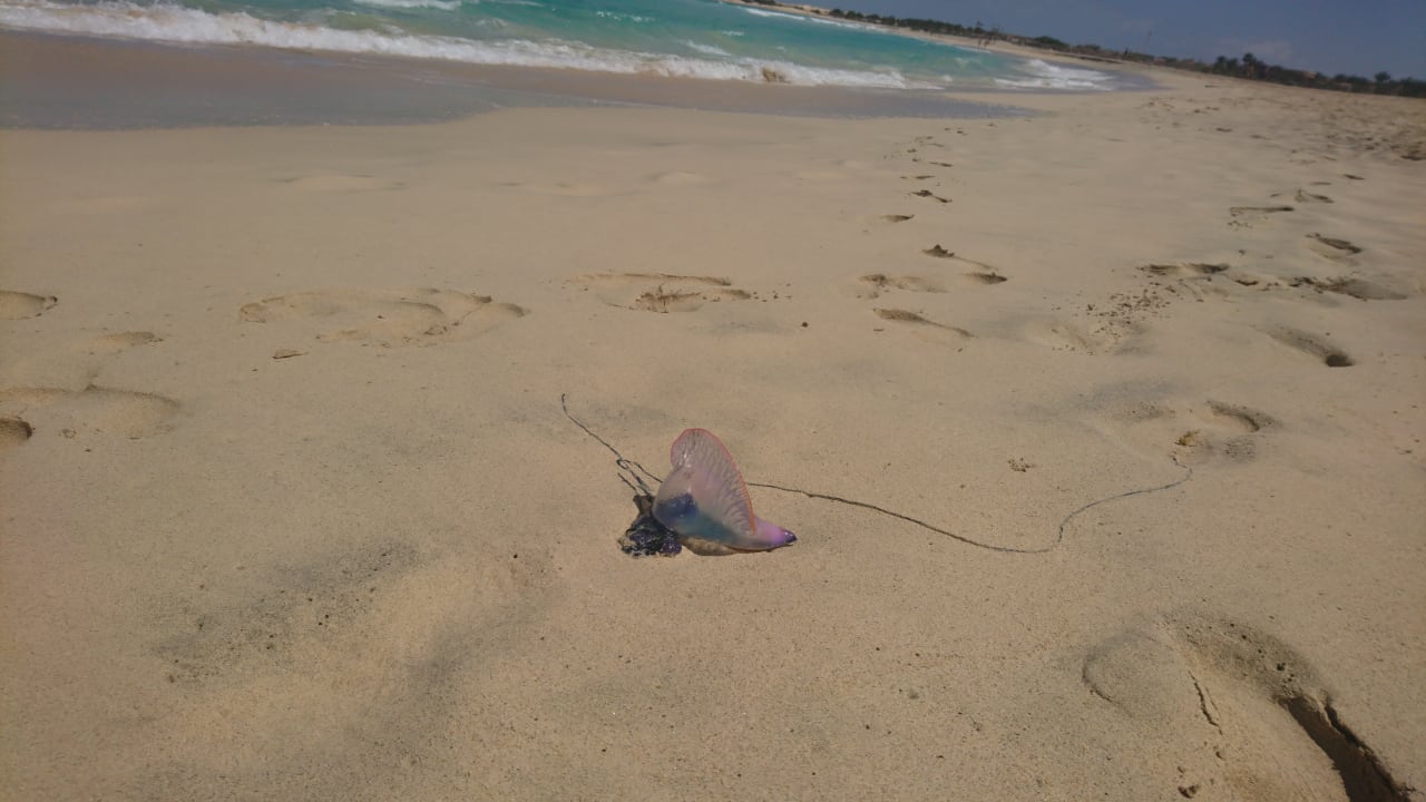 Strand VOI Praia De Chaves Resort