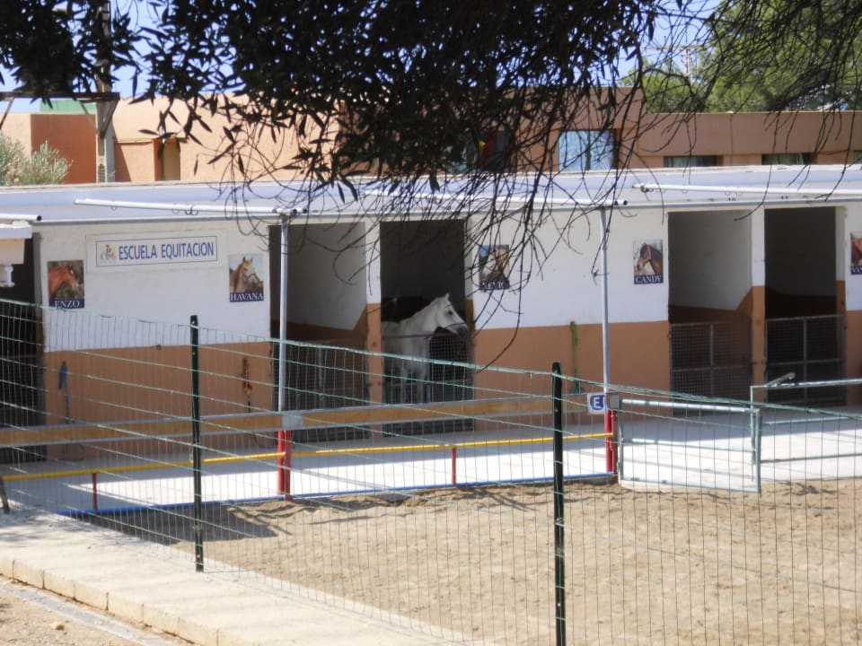 Ranch mit den Pferden Sun Club Eldorado