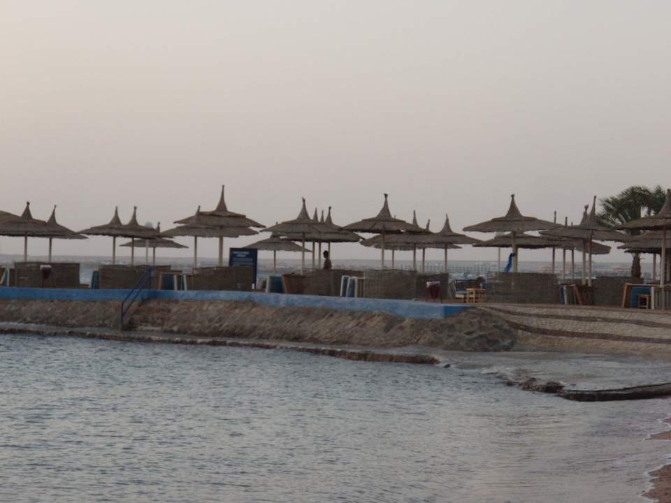 Blick vom Strand Beach Albatros Resort