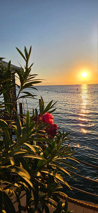 Sonstiges VONRESORT Golden Coast