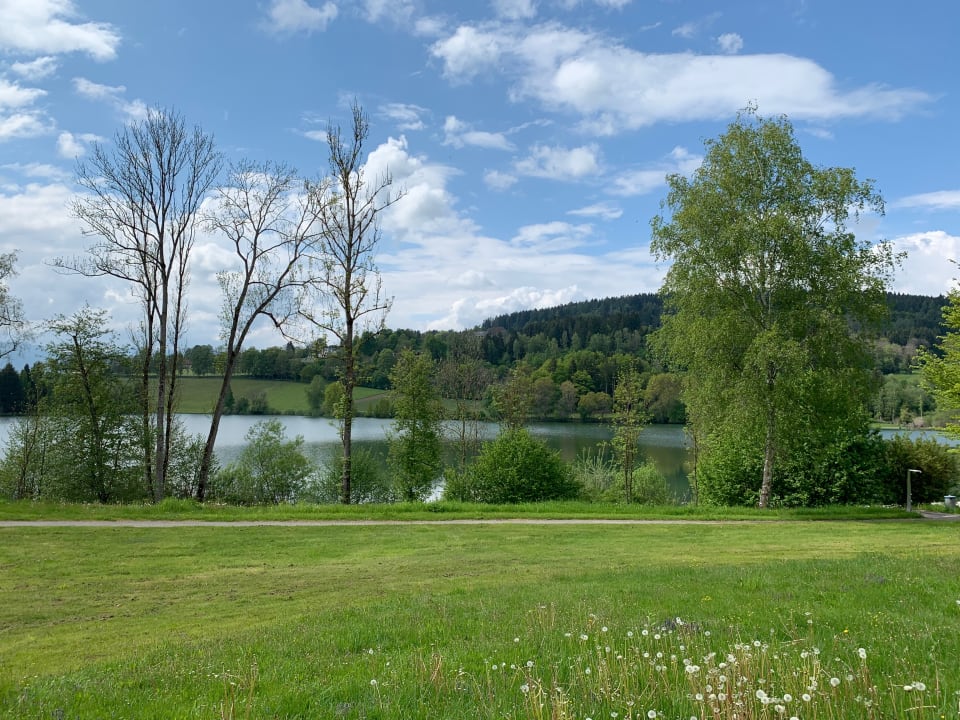 Ausblick Feriendorf am Maltschacher See
