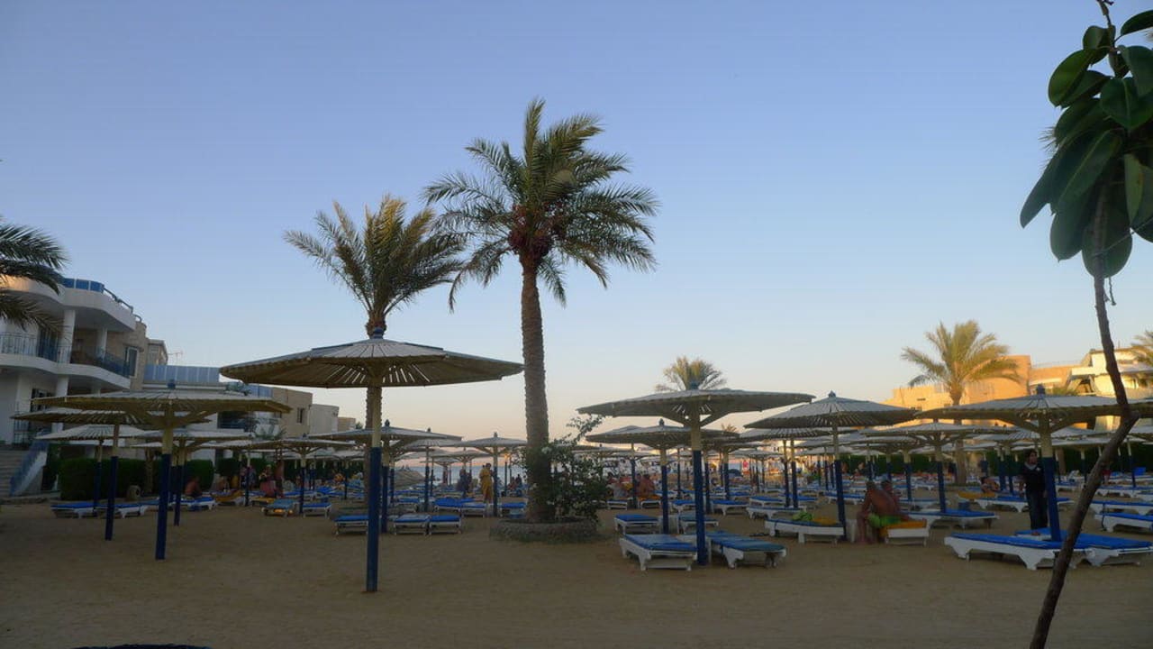 Plaża  Seagull Beach Resort