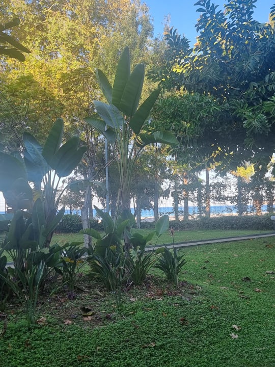 Gartenanlage Labranda Alantur Resort