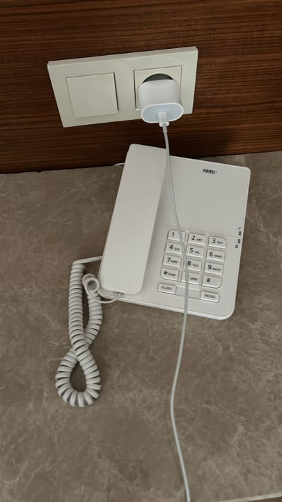 Zimmer Well Palace Side