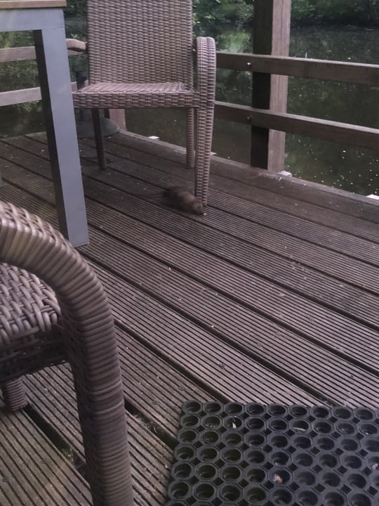 Außenansicht Center Parcs De Eemhof