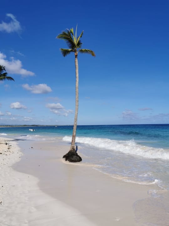 Strand Hotel Riu Palace Bavaro