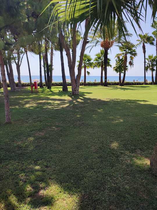 Gastro Acanthus Cennet Barut Collection