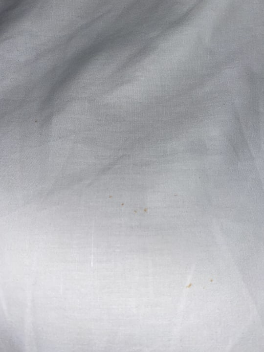 Zimmer Apollon Hotel