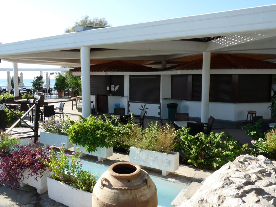 Poolbar Hotel Calypso Beach