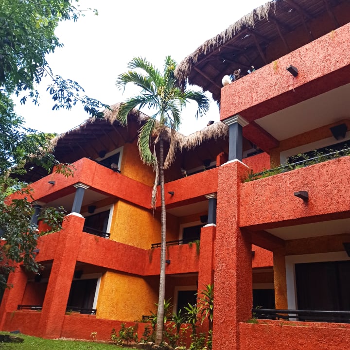 Zimmer Iberostar Waves Quetzal