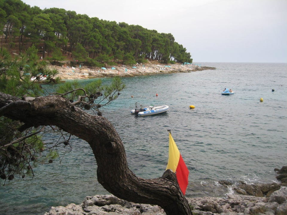 Hotelbucht Hotel Aurora