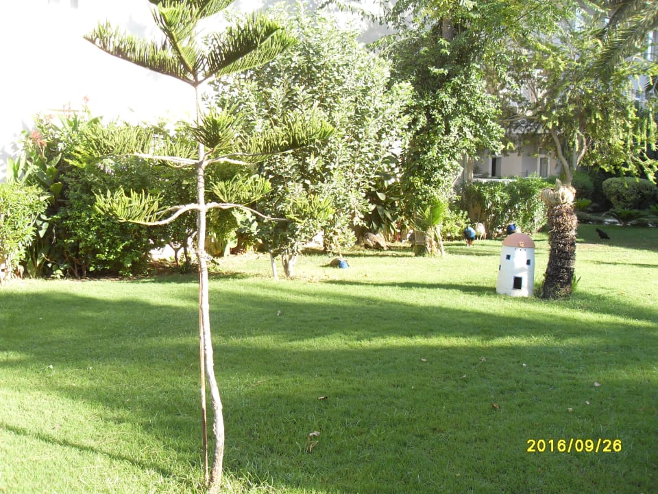 Gartenanlage Seaden Corolla Hotel