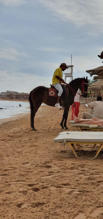 Strand Hotel JAZ Makadi Star & Spa