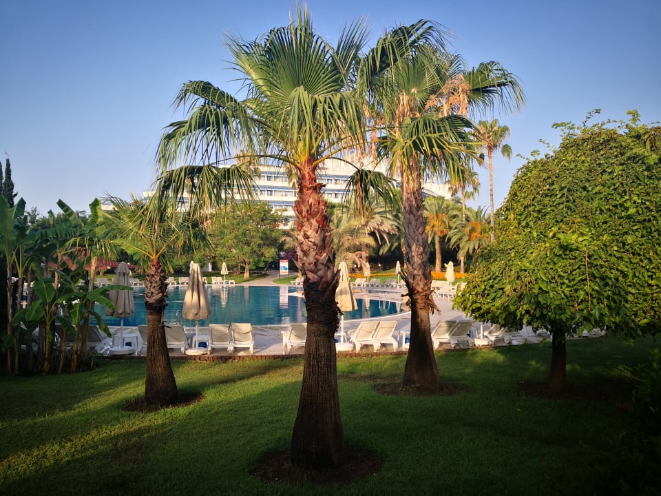 Gartenanlage Sunrise Resort Hotel