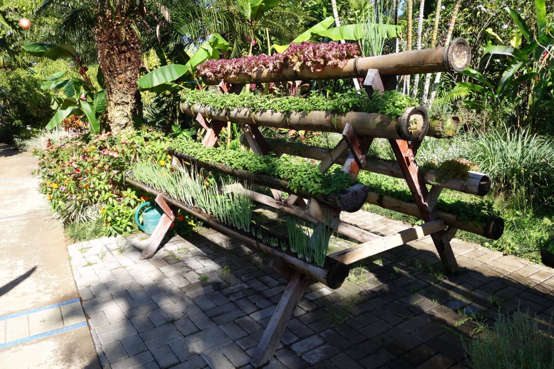 Eigene Kräuter Xandari Resort & Spa