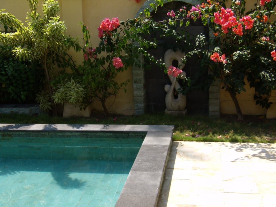 Unser eigener Pool Kura Kura Resort