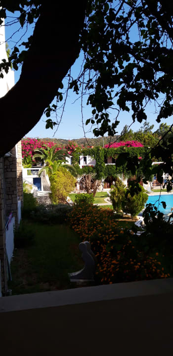 Gartenanlage Ekaterini Hotel