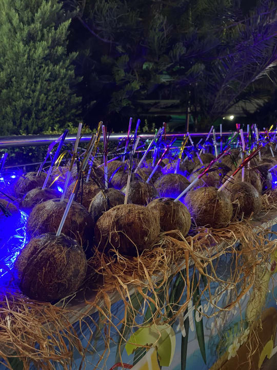 Gastro Hotel Delphin Diva