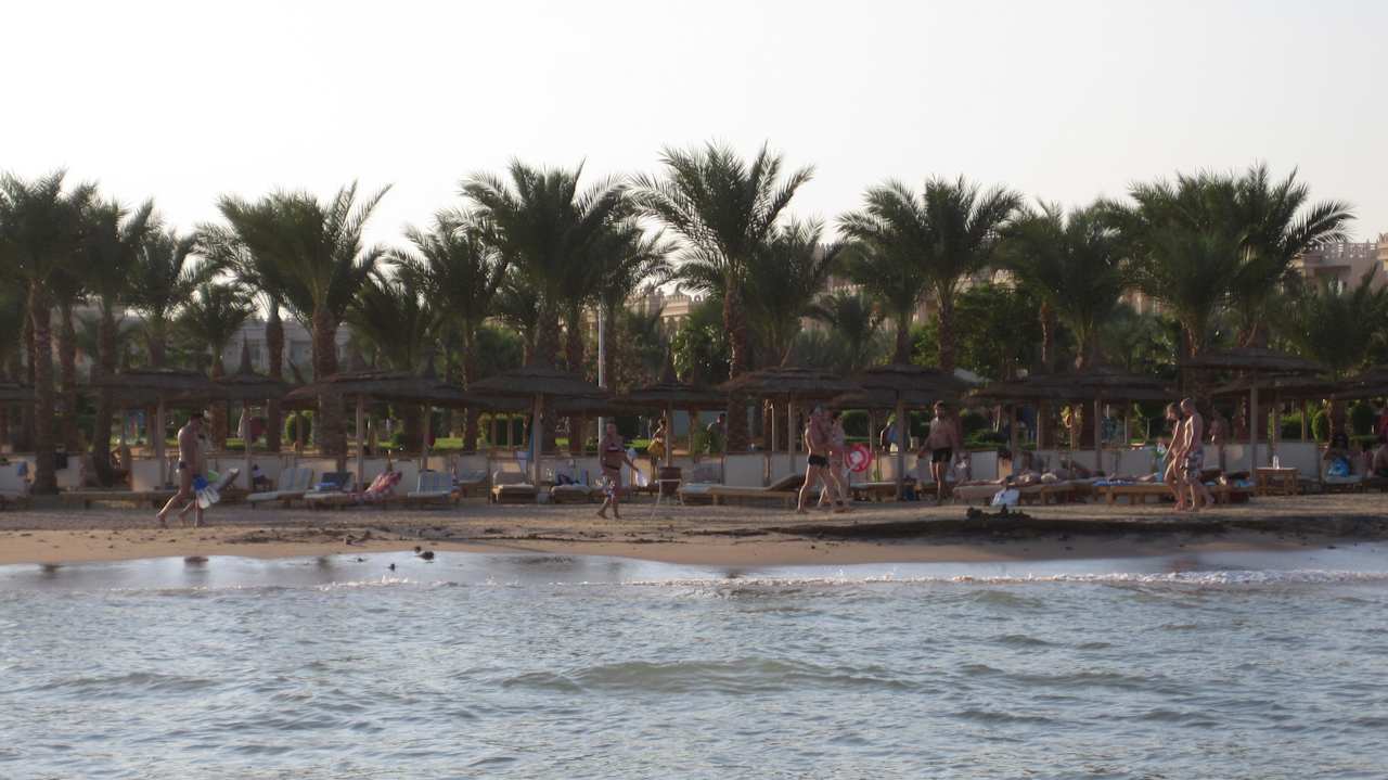 Hotelstrand Pickalbatros Palace Resort